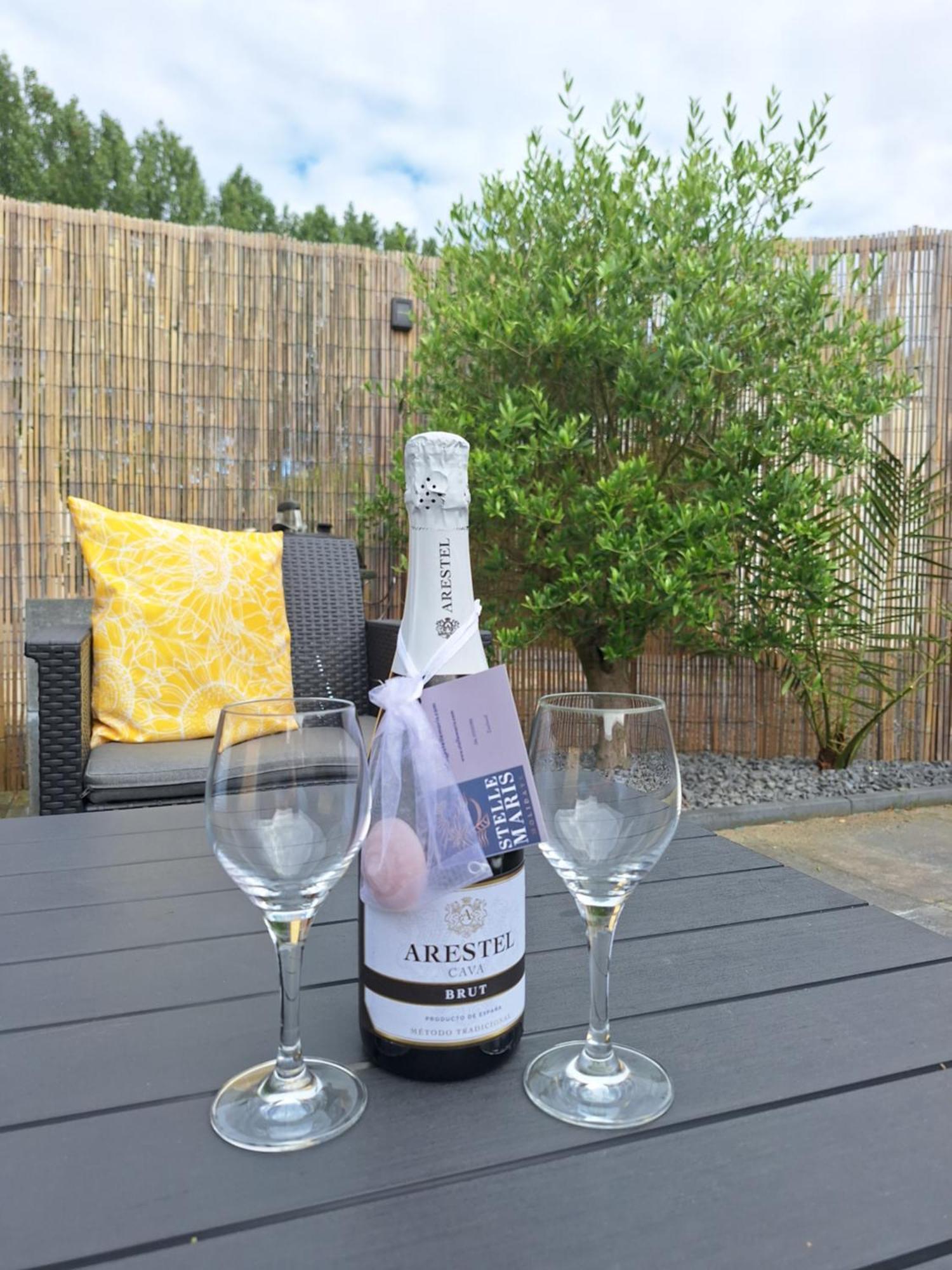 Stelle Maris, Nice Place In Heinkenszand, 2 Bedrooms, Outdoor Swimming Pool, Wifi Smart Tv And Privacy Bagian luar foto